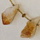 Citrine nuggets and faceted citrine beads, 18